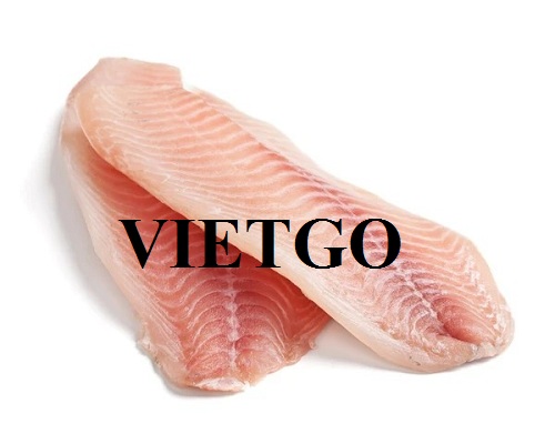 Cơ hội cung cấp Cá rô phi đông lạnh cho một công ty nhập khẩu của Venezuela