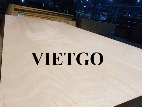 Cơ hội xuất khẩu 4 container 40ft gỗ dán hàng tháng sang thị trường Ấn Độ