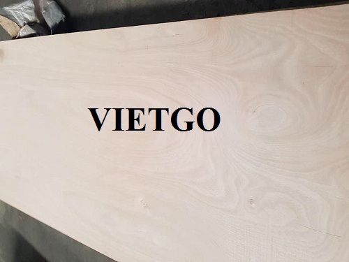 Cơ hội xuất khẩu gỗ dán sang thị trường Ấn Độ