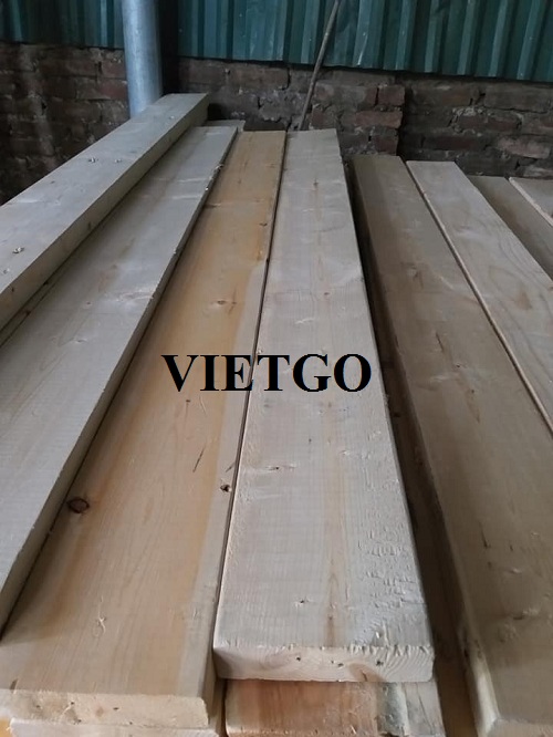 Cơ hội xuất khẩu 250m3 gỗ thông xẻ hàng tháng sang thị trường Ấn Độ