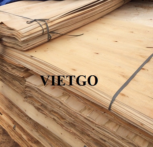 Cơ hội xuất khẩu ván bóc sang thị trường Pakistan