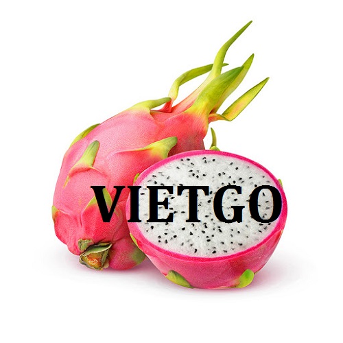 Cơ hội xuất khẩu thanh long sang thị trường Dominica