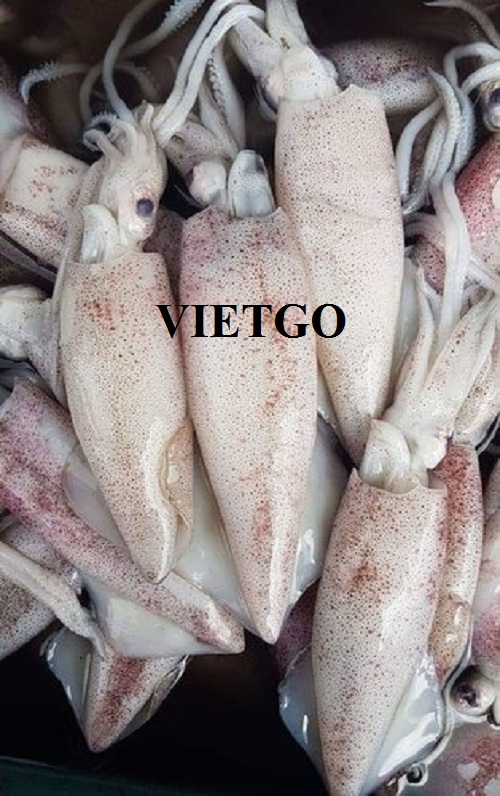 Cơ hội xuất khẩu mực hàng tháng từ một công ty kinh doanh nông sản và thủy sản tại Sri Lanka