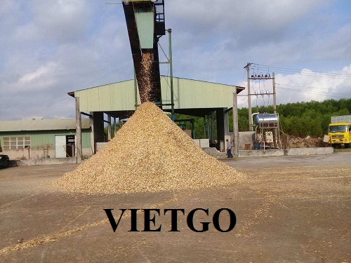 Cơ hội xuất khẩu 15.000 tấn gỗ vụn keo hàng tháng sang thị trường Trung Quốc