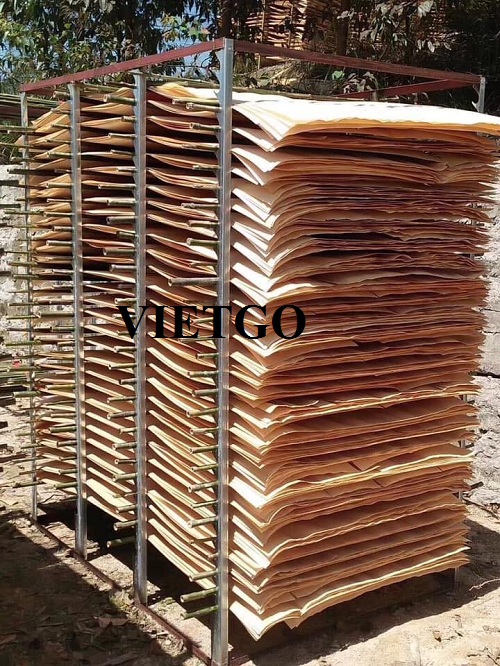Cơ hội xuất khẩu 10 container 20ft ván bóc mỗi tháng sang thị trường Ấn Độ