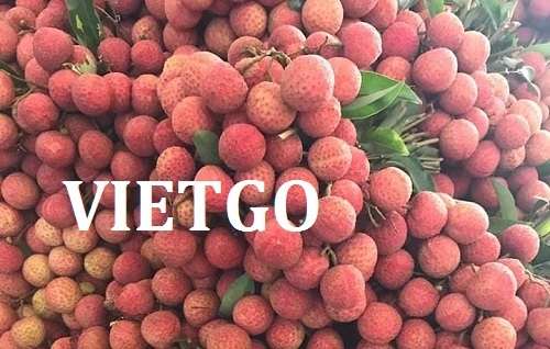 Cơ hội xuất khẩu trái vải sang thị trường Mỹ