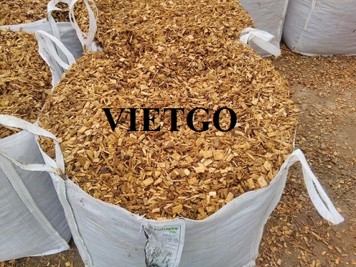 Cơ hội xuất khẩu 15.000 BDMT gỗ vụn hàng tháng sang thị trường Trung Quốc
