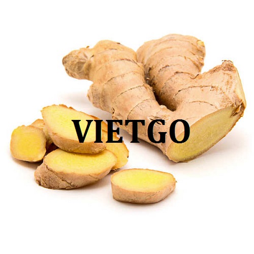 Cơ hội xuất khẩu Gừng tươi sang thị trường Dubai