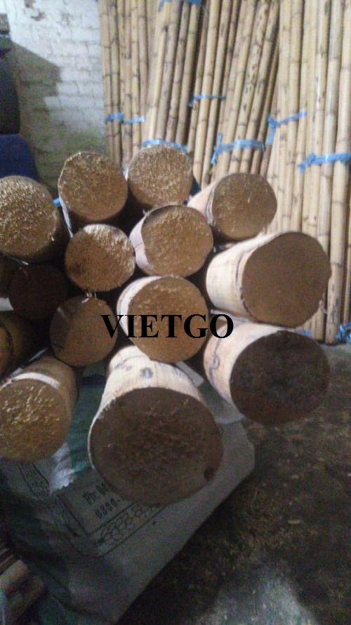 Cơ hội xuất khẩu sản phẩm gậy tre khô sang thị trường Pakistan
