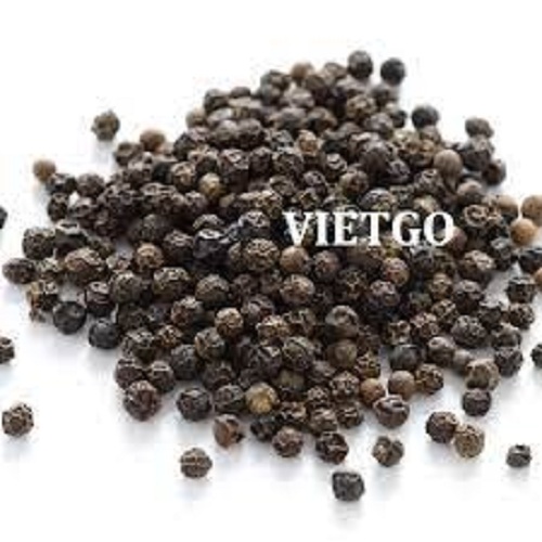 Cơ hội xuất khẩu Tiêu đen sang thị trường Gambia