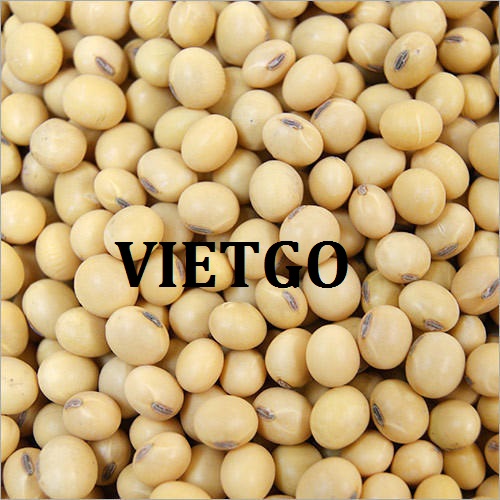 Cơ hội xuất khẩu Đậu nành sang thị trường Trung Quốc