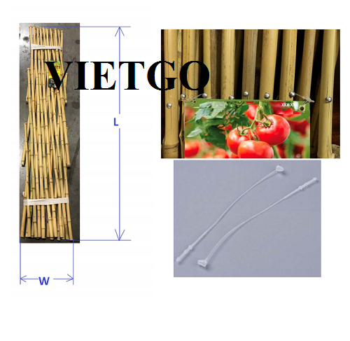 Cơ hội cung cấp hàng rào tre và gậy tre hàng năm cho các dự án xây dựng sân vườn tại Mỹ và Canada