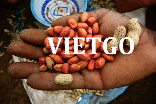 Cơ hội xuất khẩu Lạc nhân sang thị trường Trung Quốc