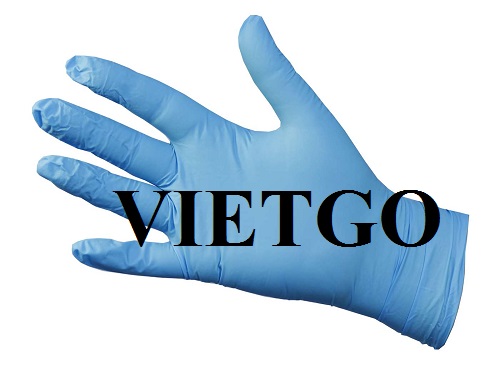 Cơ hội xuất khẩu 5 triệu hộp găng tay y tế mỗi tháng sang thị trường Mỹ