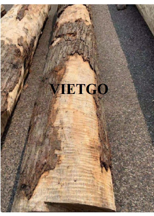 Cơ hội xuất khẩu gỗ thích tròn sang thị trường Trung Quốc