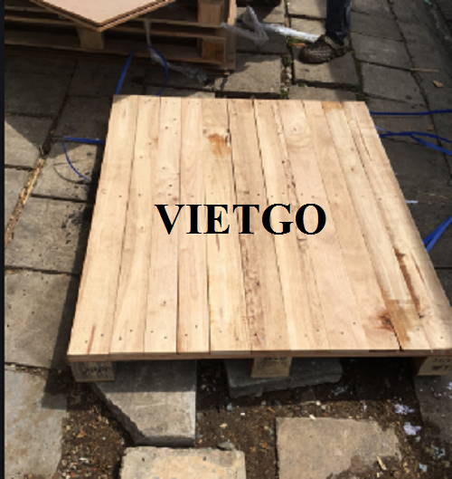 Cơ hội xuất khẩu 1000 pallet gỗ thông hàng tháng sang thị trường Malaysia