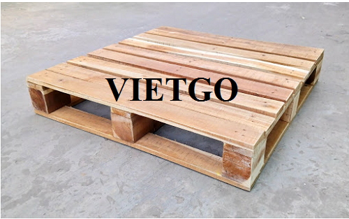 Cơ hội xuất khẩu 10.000 pallet hàng tháng cho một doanh nghiệp tại Mexico