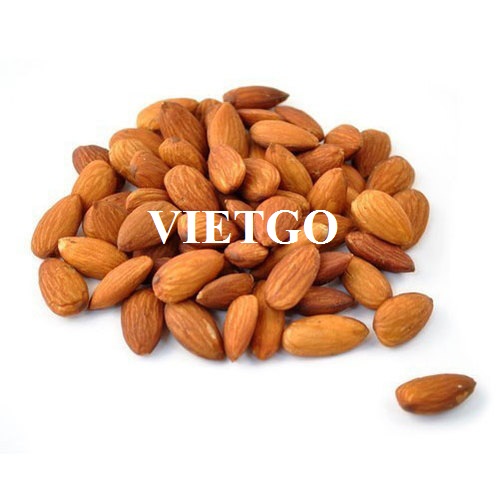 Cơ hội xuất khẩu hạt hạnh nhân sang thị trường Ý và Hy Lạp