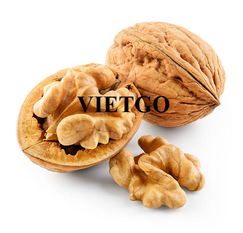 Cơ hội xuất khẩu hạt óc chó sang thị trường Ý và Hy Lạp
