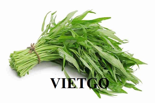 Công ty thương mại tại Việt Nam tìm đối tác cung cấp các loại Rau Sạch để xuất khẩu sang Hàn Quốc.