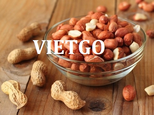 Cơ hội xuất khẩu 10 tấn lạc nhân mỗi tháng sang thị trường Trung Quốc