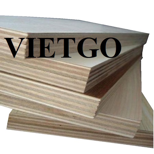 Cơ hội xuất khẩu 20 container 40ft gỗ dán phủ melamine hàng tháng sang thị trường Peru