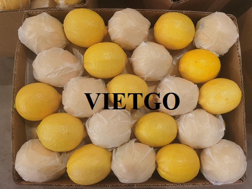 (Cập nhật) Cơ hội xuất khẩu 5 containers 40ft Chanh vàng, chanh xanh không hạt hàng tháng sang thị trường Dubai
