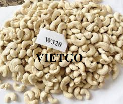 Cơ hội xuất khẩu Hạt điều hàng tháng sang thị trường châu Âu