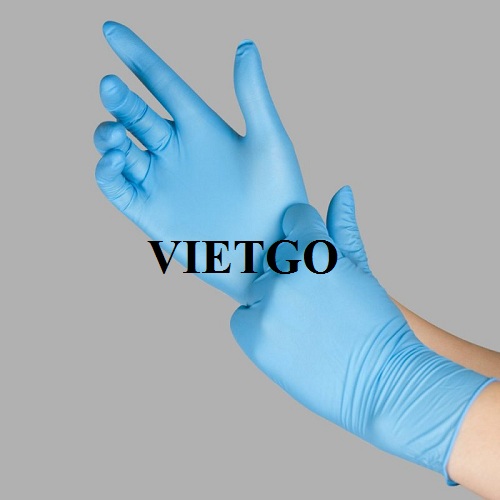 Cơ hội cung cấp găng tay nitrile số lượng lớn cho doanh nhân đến từ Ấn Độ