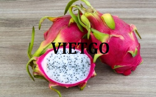 Cơ hội xuất khẩu Thanh long sang thị trường Bangladesh
