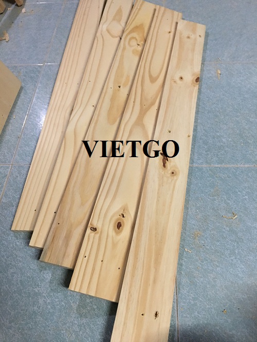 Cơ hội xuất khẩu 4 container 20ft gỗ thông xẻ sang thị trường Ấn Độ