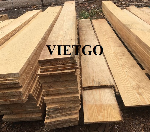 Cơ hội xuất khẩu 5 container 20ft gỗ thông xẻ sang thị trường Ấn Độ