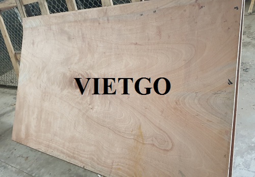 Cơ hội xuất khẩu 2000 tấm gỗ dán sang thị trường Ấn Độ