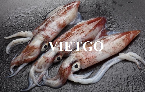 Cơ hội xuất khẩu 10 tấn mực mỗi tháng sang thị trường Hàn Quốc