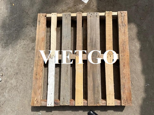 Cơ hội xuất khẩu pallet gỗ thông sang thị trường UAE