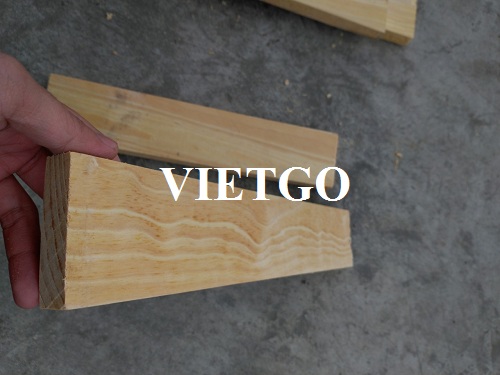 Cơ hội xuất khẩu 4 container 20ft gỗ thông xẻ hàng tháng sang thị trường Pakistan
