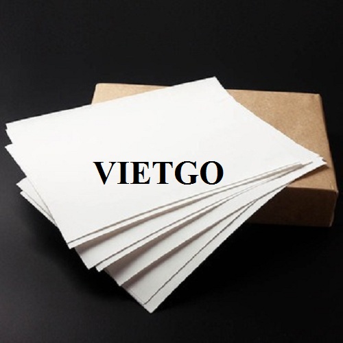 Cơ hội xuất khẩu 20.000 ream giấy A4 hàng tháng cho một doanh nghiệp Ấn Độ