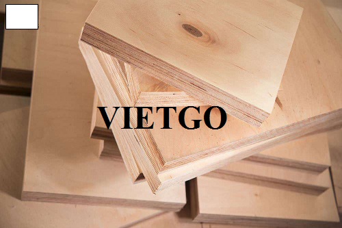 Cơ hội xuất khẩu gỗ dán sang thị trường Mỹ
