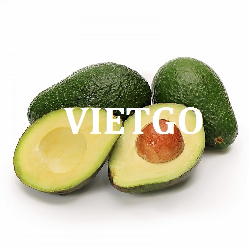 Cơ hội xuất khẩu Bơ tươi sang thị trường Nepal