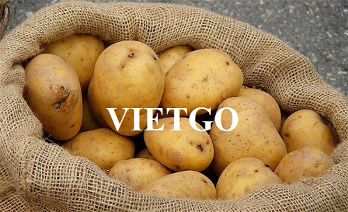 ​Cơ hội xuất khẩu Khoai tây hàng tháng sang thị trường Ấn Độ