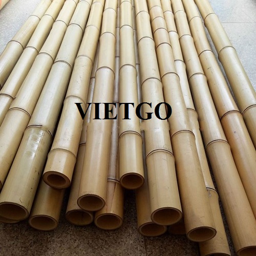 Cơ hội cung cấp 1.500 chiếc gậy tre mỗi tháng cho một doanh nghiệp tại Bồ Đào Nha