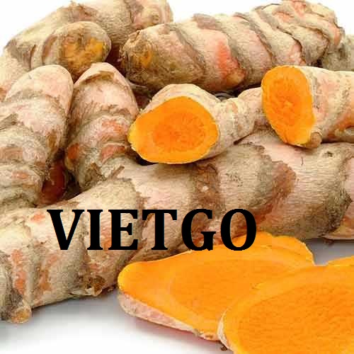 Cơ hội xuất khẩu Nghệ ngón tay sang thị trường UAE