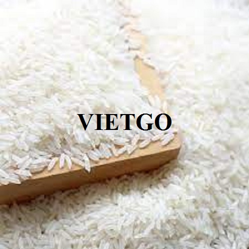 Cơ hội xuất khẩu Gạo hàng tháng sang thị trường Kenya