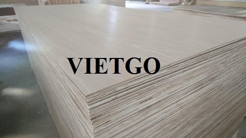 Cơ hội xuất khẩu gỗ dán sang thị trường Bangladesh