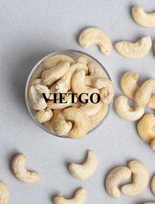 Cơ hội xuất khẩu Hạt điều hàng tháng sang thị trường Ấn Độ