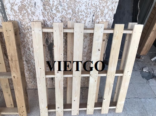 Cơ hội xuất khẩu 50.000 chiếc pallet gỗ hàng năm sang thị trường Ai Cập