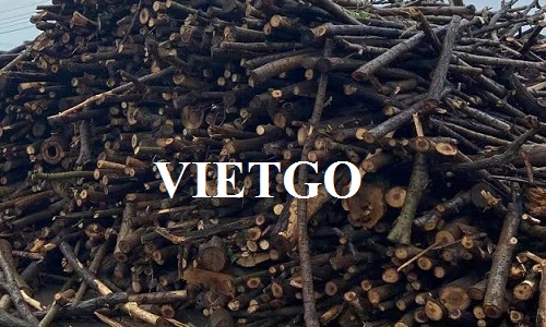 (Gấp) Cơ hội xuất khẩu 60 container 40’HC gỗ cao su tròn hàng tháng sang thị trường Trung Quốc