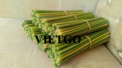 Cơ hội xuất khẩu ống hút gạo và ống hút cỏ sang thị trường Ấn Độ