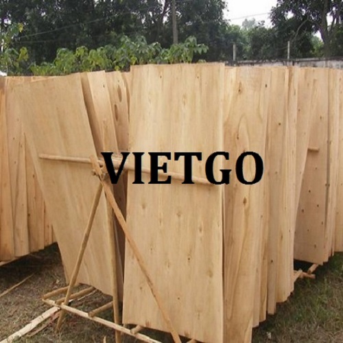 Cơ hội xuất khẩu 15 container ván bóc sang thị trường Ấn Độ