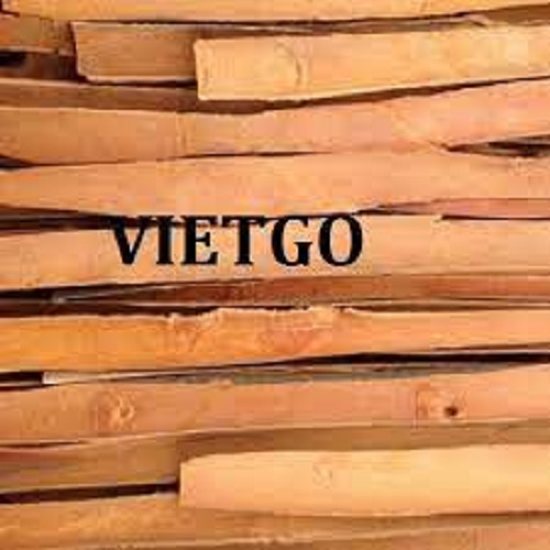 Cơ hội xuất khẩu Quế chẻ sang thị trường Ấn Độ